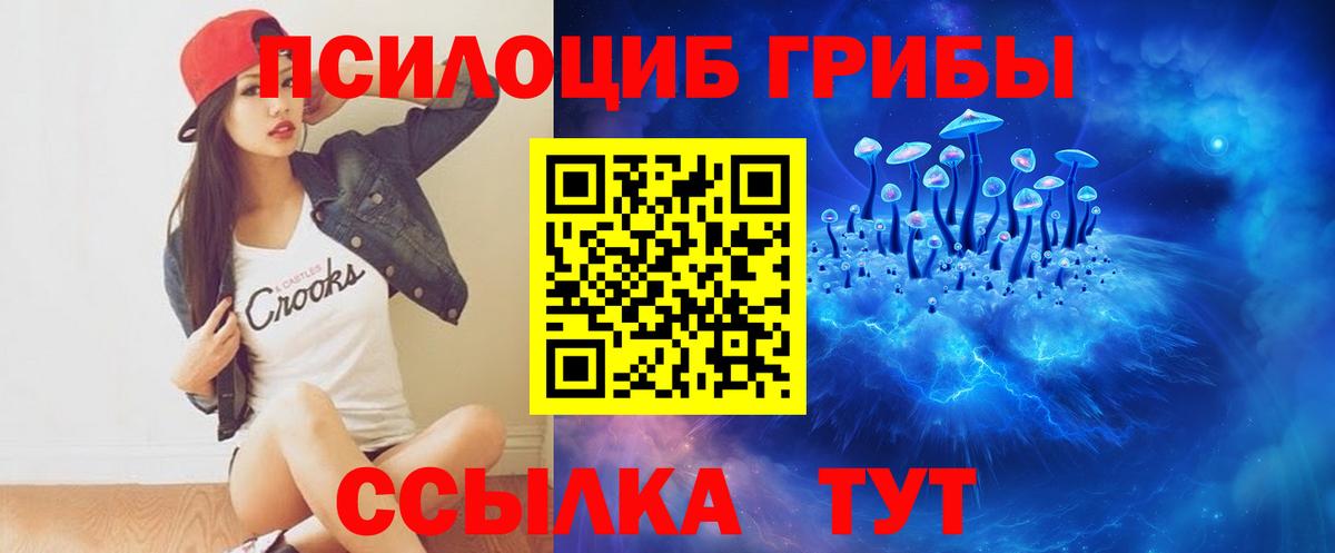 Псилоцибиновые грибы Cubensis  Псилоцибиновые грибы Psilocybe  Тара  Вход с VPN 