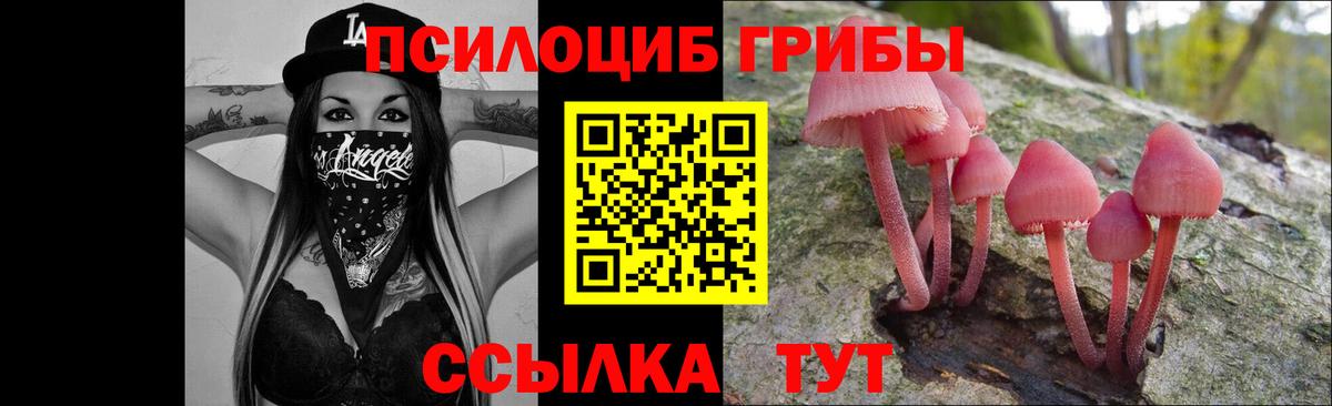 A-PVP Тара